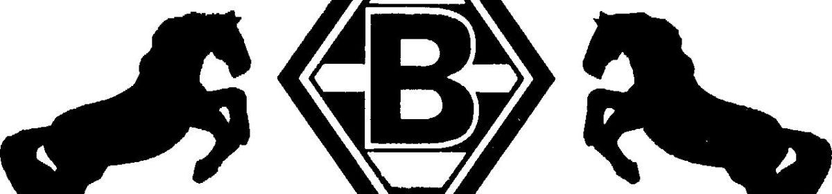 Borussia Mönchengladbach Fohlen